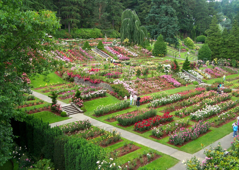 International Rose Test Garden, United States